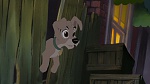 Image Lady and the Tramp II: Scamp's Adventure