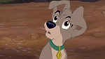 Lady and the Tramp II: Scamp's Adventure picture