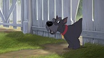 Lady and the Tramp II: Scamp's Adventure picture