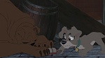 Lady and the Tramp II: Scamp's Adventure picture
