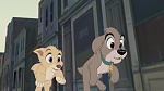 Lady and the Tramp II: Scamp's Adventure picture