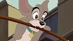 Lady and the Tramp II: Scamp's Adventure picture