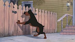Lady and the Tramp II: Scamp's Adventure picture
