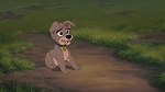 Image Lady and the Tramp II: Scamp's Adventure