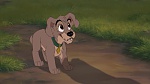 Lady and the Tramp II: Scamp's Adventure picture