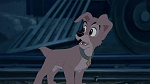 Lady and the Tramp II: Scamp's Adventure picture