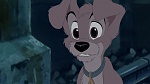 Image Lady and the Tramp II: Scamp's Adventure