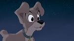 Lady and the Tramp II: Scamp's Adventure picture