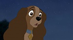 Lady and the Tramp II: Scamp's Adventure picture