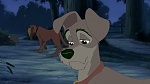 Lady and the Tramp II: Scamp's Adventure picture