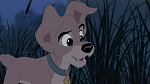 Lady and the Tramp II: Scamp's Adventure picture