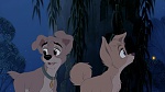 Lady and the Tramp II: Scamp's Adventure picture