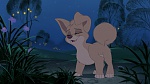 Lady and the Tramp II: Scamp's Adventure picture
