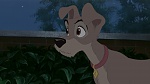 Lady and the Tramp II: Scamp's Adventure picture