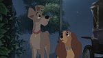 Lady and the Tramp II: Scamp's Adventure picture