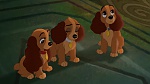 Lady and the Tramp II: Scamp's Adventure picture