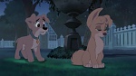 Image Lady and the Tramp II: Scamp's Adventure
