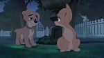 Lady and the Tramp II: Scamp's Adventure picture