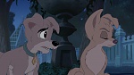Image Lady and the Tramp II: Scamp's Adventure