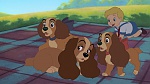Lady and the Tramp II: Scamp's Adventure picture
