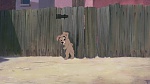 Lady and the Tramp II: Scamp's Adventure picture