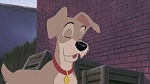 Lady and the Tramp II: Scamp's Adventure picture