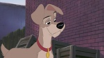 Lady and the Tramp II: Scamp's Adventure picture