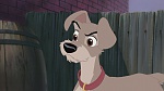 Lady and the Tramp II: Scamp's Adventure picture