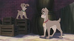Image Lady and the Tramp II: Scamp's Adventure