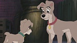 Lady and the Tramp II: Scamp's Adventure picture