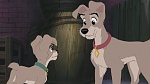 Lady and the Tramp II: Scamp's Adventure picture