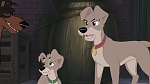 Lady and the Tramp II: Scamp's Adventure picture