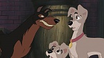 Lady and the Tramp II: Scamp's Adventure picture