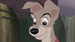 Lady and the Tramp II: Scamp's Adventure picture