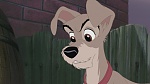 Lady and the Tramp II: Scamp's Adventure picture