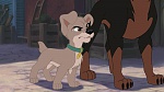 Lady and the Tramp II: Scamp's Adventure picture