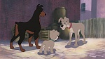 Lady and the Tramp II: Scamp's Adventure picture