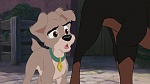 Lady and the Tramp II: Scamp's Adventure picture