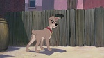 Lady and the Tramp II: Scamp's Adventure picture