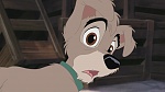 Lady and the Tramp II: Scamp's Adventure picture