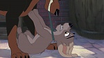 Image Lady and the Tramp II: Scamp's Adventure
