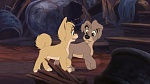 Lady and the Tramp II: Scamp's Adventure picture