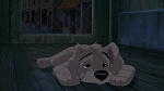 Lady and the Tramp II: Scamp's Adventure picture
