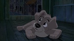 Image Lady and the Tramp II: Scamp's Adventure