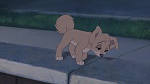 Lady and the Tramp II: Scamp's Adventure picture
