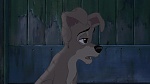 Lady and the Tramp II: Scamp's Adventure picture
