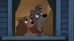 Lady and the Tramp II: Scamp's Adventure picture