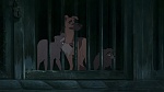 Lady and the Tramp II: Scamp's Adventure picture