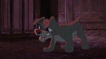 Lady and the Tramp II: Scamp's Adventure picture