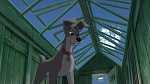 Lady and the Tramp II: Scamp's Adventure picture